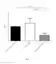 Fig. 04 - Method of distinguishing mesenchymal stem cells