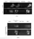 Fig. 12 - Peptides derived from myosin 19 and methods of use thereof