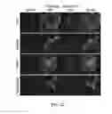Fig. 15 - Peptides derived from myosin 19 and methods of use thereof