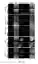 Fig. 16 - Peptides derived from myosin 19 and methods of use thereof