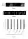 Fig. 18 - Peptides derived from myosin 19 and methods of use thereof