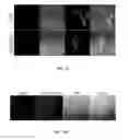 Fig. 25 - Peptides derived from myosin 19 and methods of use thereof