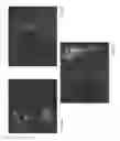 Fig. 02 - ASSAYS FOR DETECTING T CELL IMMUNE SUBSETS AND METHODS OF USE THEREOF