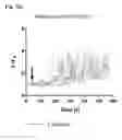 Fig. 14 - CONTROL OF UTERINE CONTRACTIONS