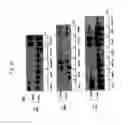 Fig. 04 - Activated HER3 as a marker for predicting therapeutic efficacy