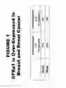 Fig. 02 - Methods and compositions for treating and diagnosing diseases