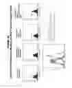 Fig. 30 - Methods and compositions for treating and diagnosing diseases