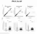 Fig. 03 - SENSITIVE DIAGNOSTIC ASSAY FOR INCLUSION BODY MYSITIS
