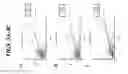 Fig. 05 - SENSITIVE DIAGNOSTIC ASSAY FOR INCLUSION BODY MYSITIS