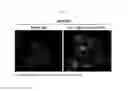 Fig. 08 - METHOD OF SCREENING AN ANTIBODY