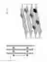 Fig. 41 - Radio Frequency Identification Tag Location Estimation and Tracking System and Method