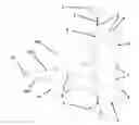Fig. 01 - Segmented-foil divertor