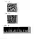 Fig. 12 - METHOD FOR PRODUCING MOLD FOR MINUTE PATTERN TRANSFER, METHOD FOR PRODUCING DIFFRACTION GRATING USING THE SAME, AND METHOD FOR PRODUCING ORGANIC EL ELEMENT INCLUDING THE DIFFRACTION GRATING