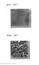 Fig. 22 - METHOD FOR PRODUCING MOLD FOR MINUTE PATTERN TRANSFER, METHOD FOR PRODUCING DIFFRACTION GRATING USING THE SAME, AND METHOD FOR PRODUCING ORGANIC EL ELEMENT INCLUDING THE DIFFRACTION GRATING