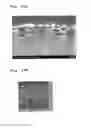 Fig. 29 - METHOD FOR PRODUCING MOLD FOR MINUTE PATTERN TRANSFER, METHOD FOR PRODUCING DIFFRACTION GRATING USING THE SAME, AND METHOD FOR PRODUCING ORGANIC EL ELEMENT INCLUDING THE DIFFRACTION GRATING
