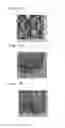 Fig. 32 - METHOD FOR PRODUCING MOLD FOR MINUTE PATTERN TRANSFER, METHOD FOR PRODUCING DIFFRACTION GRATING USING THE SAME, AND METHOD FOR PRODUCING ORGANIC EL ELEMENT INCLUDING THE DIFFRACTION GRATING