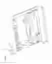 Fig. 09 - INTEGRATED DISTRIBUTION ENABLING ACCESS APPARATUS