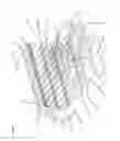 Fig. 14 - INTEGRATED DISTRIBUTION ENABLING ACCESS APPARATUS
