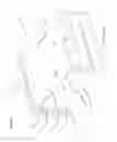 Fig. 18 - INTEGRATED DISTRIBUTION ENABLING ACCESS APPARATUS