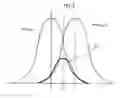 Fig. 06 - Confocal scanner and confocal microscope