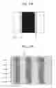 Fig. 13 - DISPLAY DEVICE