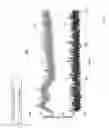 Fig. 12 - Compensation for a disturbance in an optical source
