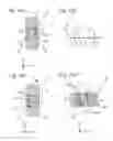 Fig. 10 - Exposure apparatus, exposure method, and device manufacturing method