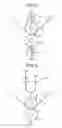 Fig. 05 - Image forming apparatus and image forming method