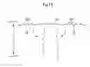 Fig. 12 - Image forming apparatus having a wavelike portion capable of expanding and contracting