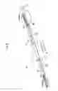 Fig. 06 - Image forming apparatus having a U-shaped member for hooking a locking portion