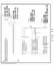 Fig. 15 - Energy analysis apparatus and recording medium