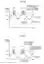 Fig. 05 - Station auxiliary power source apparatus