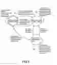 Fig. 04 - Human detection system and human detection method