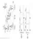 Fig. 02 - Proximity based temporary audio sharing