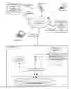 Fig. 01 - Prioritizing cloud-based computing tasks according to global company and job type priority levels