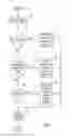 Fig. 08 - Plural architecture master data management