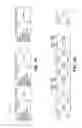 Fig. 07 - Opportunistic execution of secondary copy operations