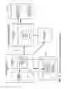 Fig. 09 - Opportunistic execution of secondary copy operations