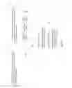 Fig. 06 - Intelligent social feed generator