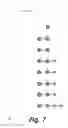Fig. 08 - Manipulating sets of hierarchical data