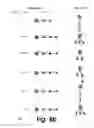 Fig. 10 - Manipulating sets of hierarchical data
