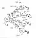 Fig. 01 - Scalable multi-query optimization for SPARQL