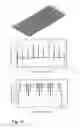 Fig. 51 - PERFORMANCE AND LIFE PREDICTION MODEL FOR PHOTOVOLTAIC MODULE: EFFECT OF ENCAPSULANT CONSTITUTIVE BEHAVIOR