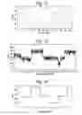 Fig. 07 - ANALYSIS OF A POLYMER COMPRISING POLYMER UNITS