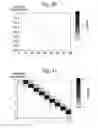Fig. 14 - ANALYSIS OF A POLYMER COMPRISING POLYMER UNITS