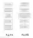 Fig. 12 - Method for Creating Standardized Patient Care Pathways