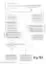 Fig. 16 - Method for Creating Standardized Patient Care Pathways