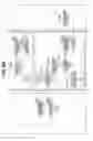 Fig. 13 - License management method and apparatus