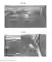 Fig. 07 - Camouflaged communication device