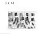 Fig. 09 - Tenprint card input device, tenprint card input method and storage medium